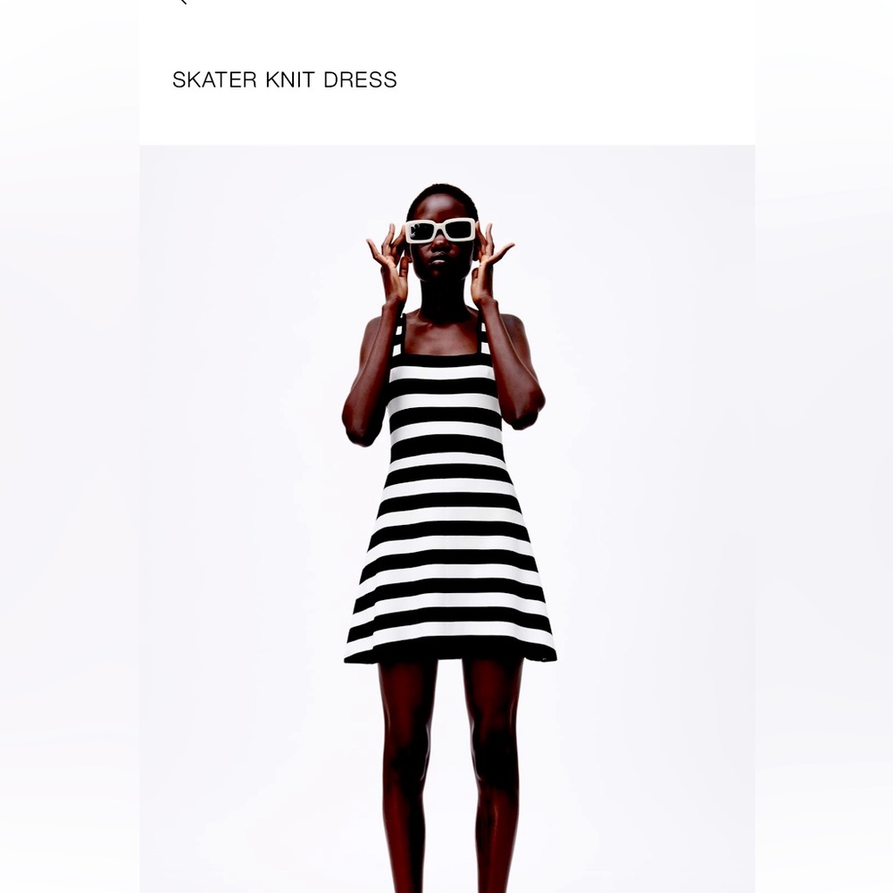 Zara skater dress. New!